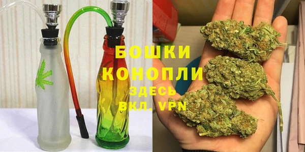 spice Аркадак