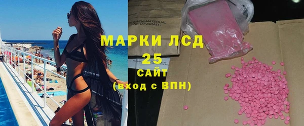 spice Аркадак