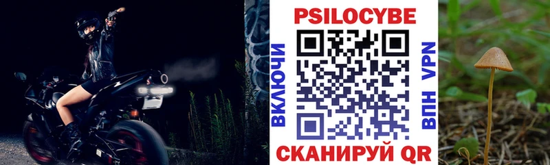 Купить  Бодайбо  Псилоцибиновые грибы мицелий 