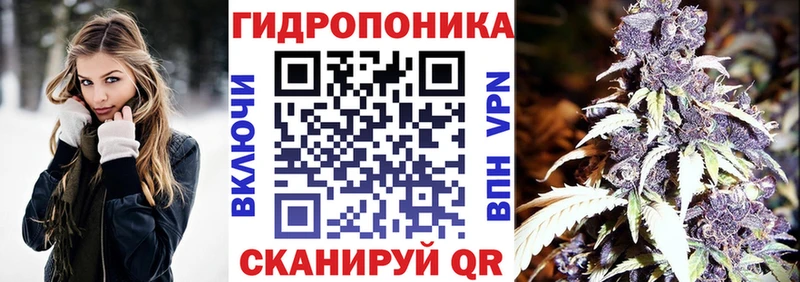 Купить  Бодайбо  Каннабис планчик 